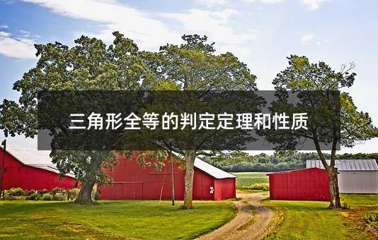 三角形全等的判定定理和性质