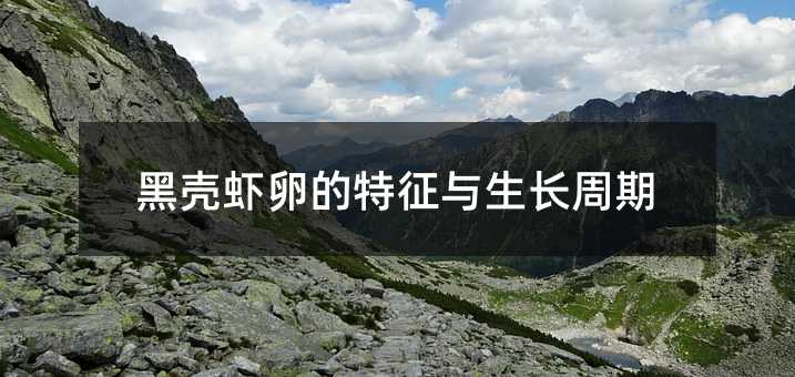 黑壳虾卵的特征与生长周期