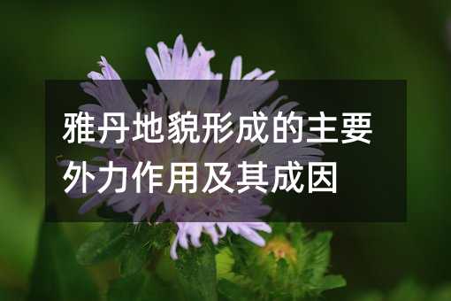 雅丹地貌形成的主要外力作用及其成因