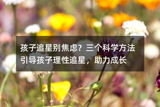 孩子追星别焦虑?三个科学方法引导孩子理性追星,助力成长