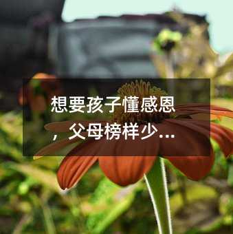 想要孩子懂感恩,父母榜样少不了
