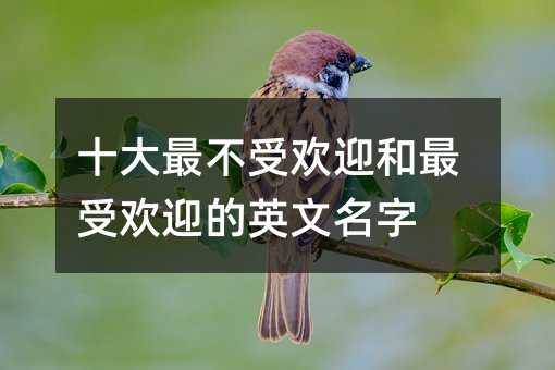 十大最不受欢迎和最受欢迎的英文名字