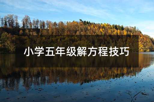 小学五年级解方程技巧