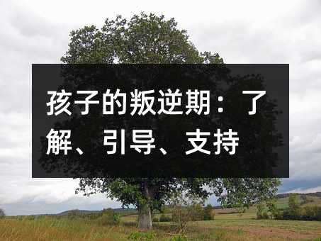 孩子的叛逆期:了解、引导、支持
