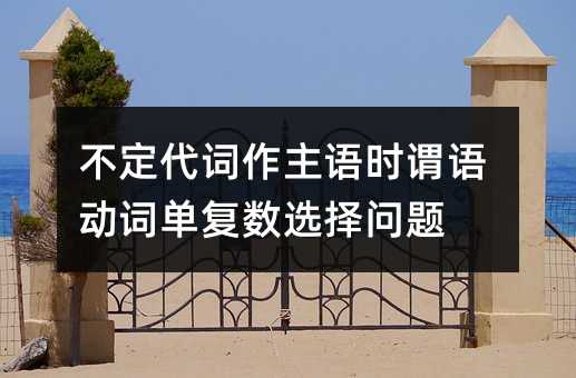 不定代词作主语时谓语动词单复数选择问题