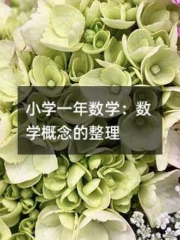小学一年数学:数学概念的整理