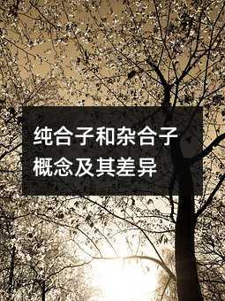 纯合子和杂合子概念及其差异