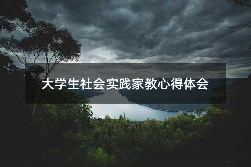 大学生社会实践家教心得体会