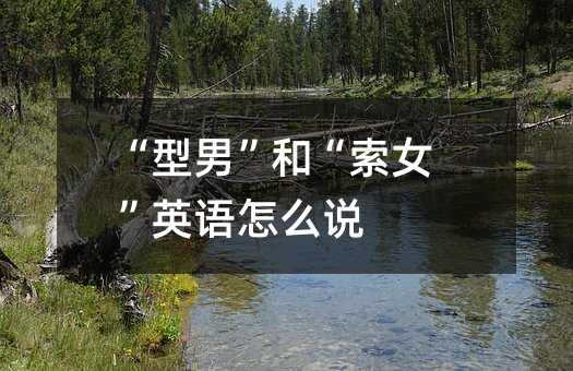 “型男”和“索女”英语怎么说