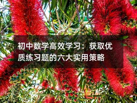 初中数学高效学习:获取优质练习题的六大实用策略