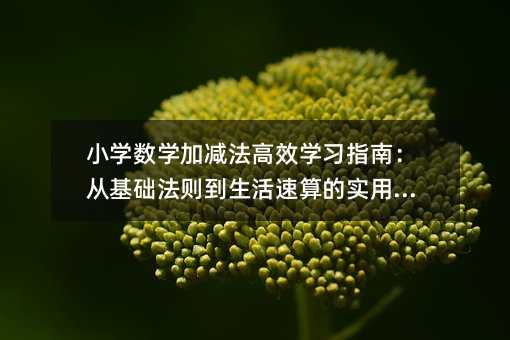 СѧѧӼЧѧϰָϣӻʵü