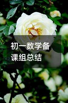 初一数学备课组总结