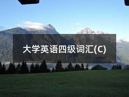 大学英语四级词汇(C)