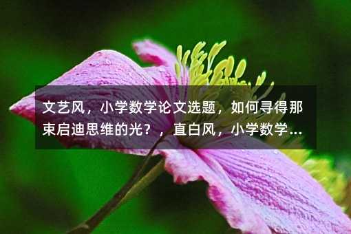 շ磬Сѧѧѡ⣬Ѱ˼άĹ⣿ֱ׷磬СѧѧѡѣôѡźʣƤ磬СѧѧѡĿûɶѽ