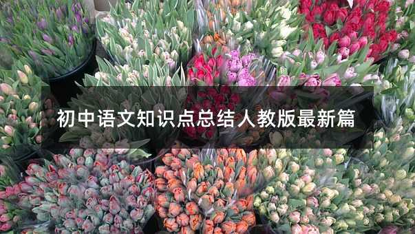 初中语文知识点总结人教版最新篇