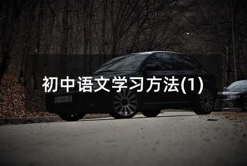 初中语文学习方法(1)