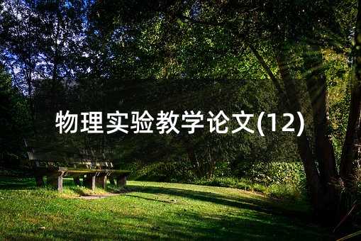 物理实验教学论文(12)