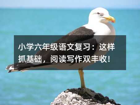 小学六年级语文复习:这样抓基础,阅读写作双丰收!