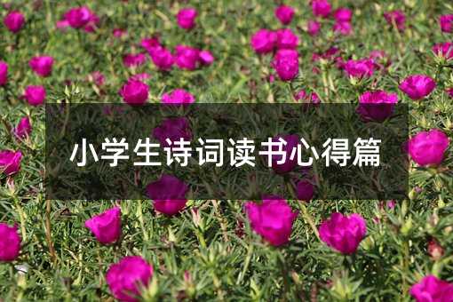 小学生诗词读书心得篇