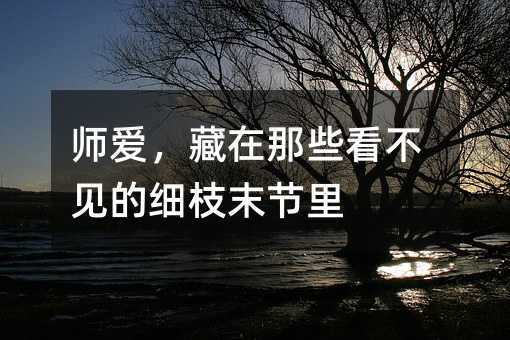 ʦ����������Щ��������ϸ֦ĩ����