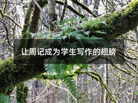 让周记成为学生写作的翅膀
