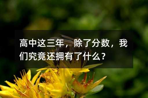 高中这三年,除了分数,我们究竟还拥有了什么?
