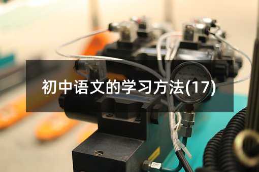 初中语文的学习方法(17)