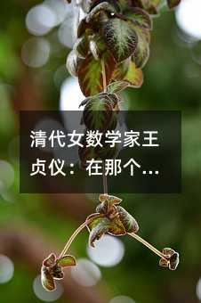 清代女数学家王贞仪:在那个女子无才便是德的年代,她用算筹算出自己的星辰大海