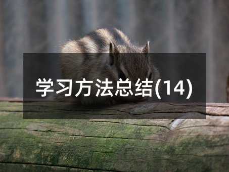 学习方法总结(14)