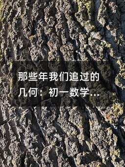 那些年我们追过的几何:初一数学核心知识点全攻略