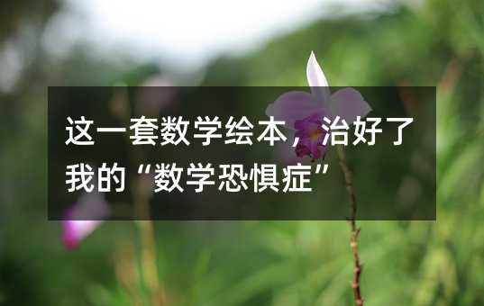 这一套数学绘本,治好了我的“数学恐惧症”