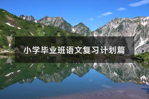 小学毕业班语文复习计划篇