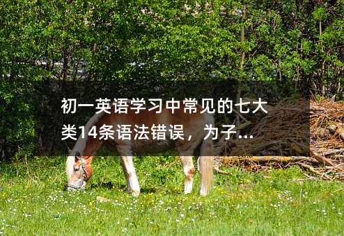 初一英语学习中常见的七大类14条语法错误,为子收藏!