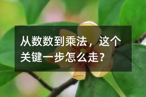 从数数到乘法,这个关键一步怎么走?
