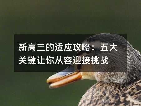 �¸�������Ӧ���ԣ����ؼ��������ӭ����ս