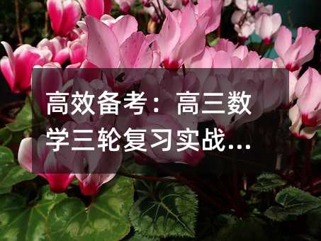 高效备考:高三数学三轮复习实战指南