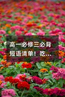 高一必修三必背短语清单!吃透这些期末多拿20分
