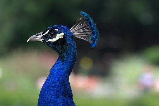 �о�����ҵ����ߵ������У��ǰ���Ȼû��һ��985��У