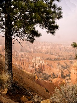 孩子手机使用协议范本